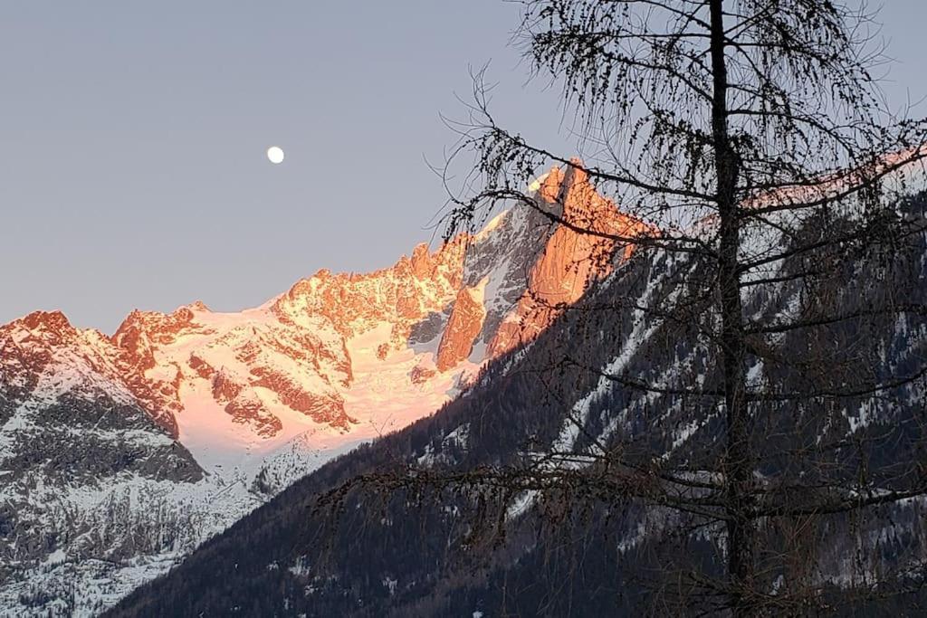 Bel Appartement Entier En Style Chalet A Chamonix Exterior foto